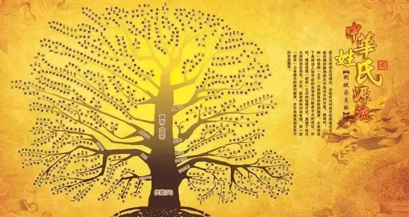 中华姓氏源流树